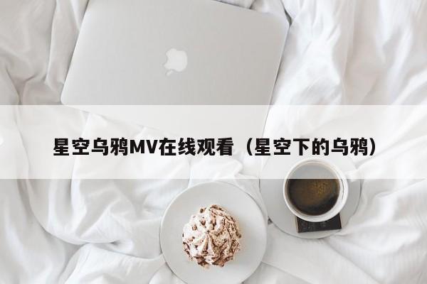 星空乌鸦MV在线观看(星空下的乌鸦)