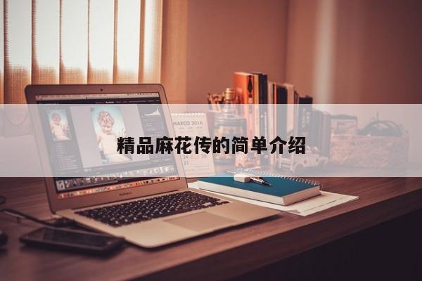 精品麻花传的简单介绍