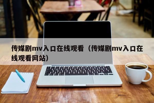 传媒剧mv入口在线观看(传媒剧mv入口在线观看网站)
