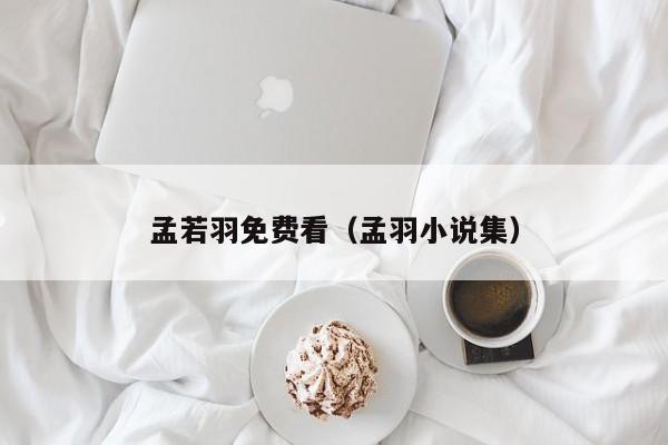 孟若羽免费看(孟羽小说集)