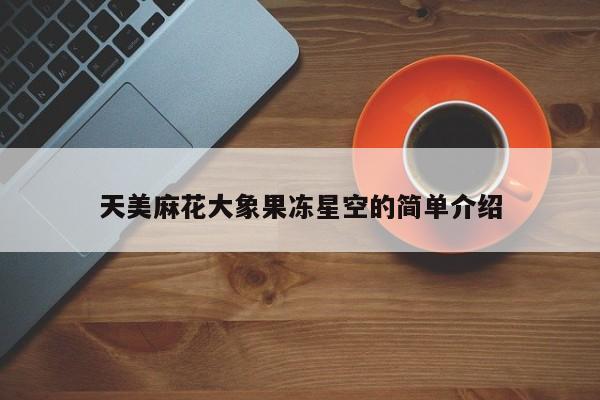 天美麻花大象果冻星空的简单介绍