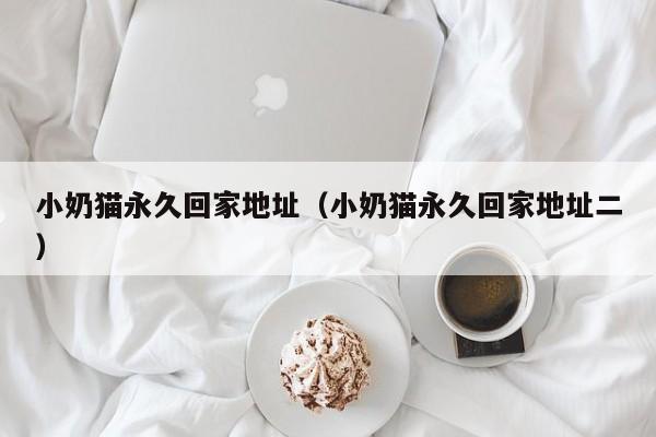 小奶猫永久回家地址（小奶猫永久回家地址二）
