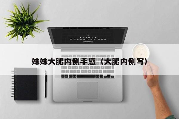 妹妹大腿内侧手感(大腿内侧写)