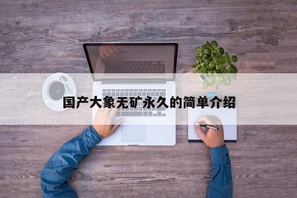 国产大象无矿永久的简单介绍