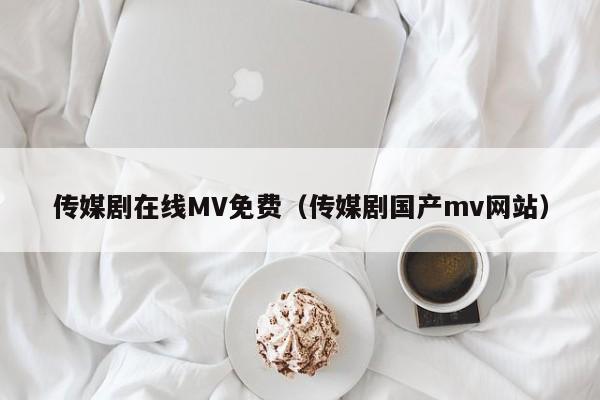 传媒剧在线MV免费(传媒剧国产mv网站)